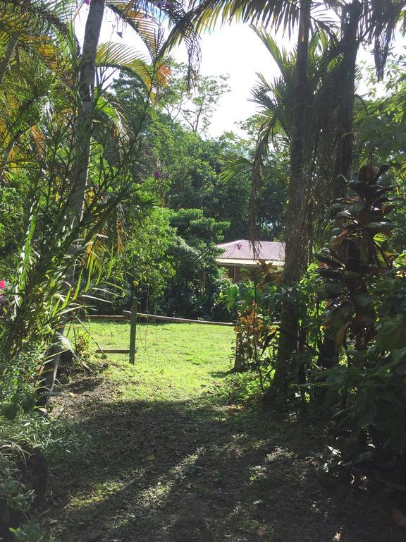 Magellan Boutique Hotel Cahuita Ngoại thất bức ảnh