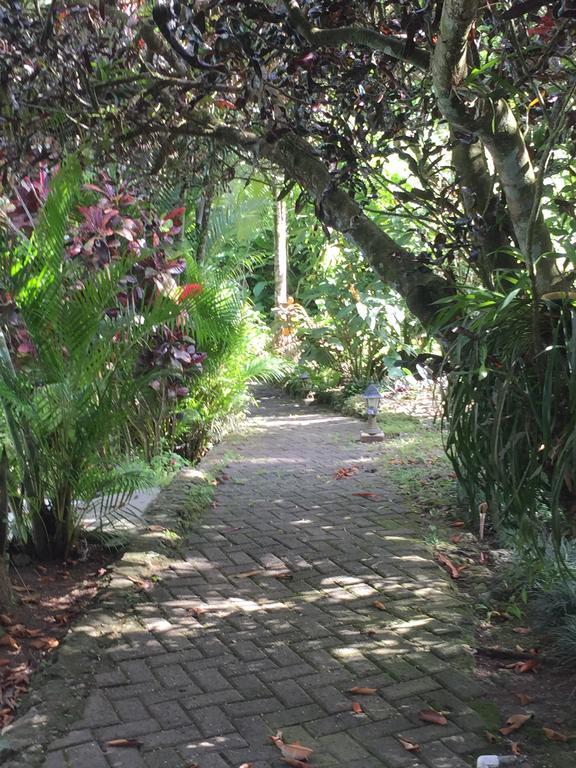 Magellan Boutique Hotel Cahuita Ngoại thất bức ảnh