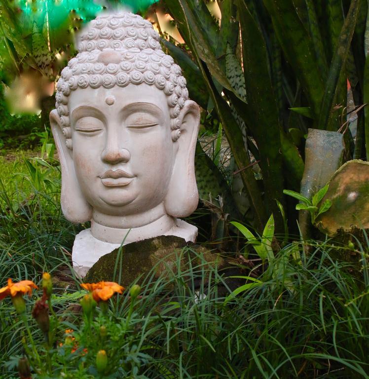 Magellan Boutique Hotel Cahuita Ngoại thất bức ảnh