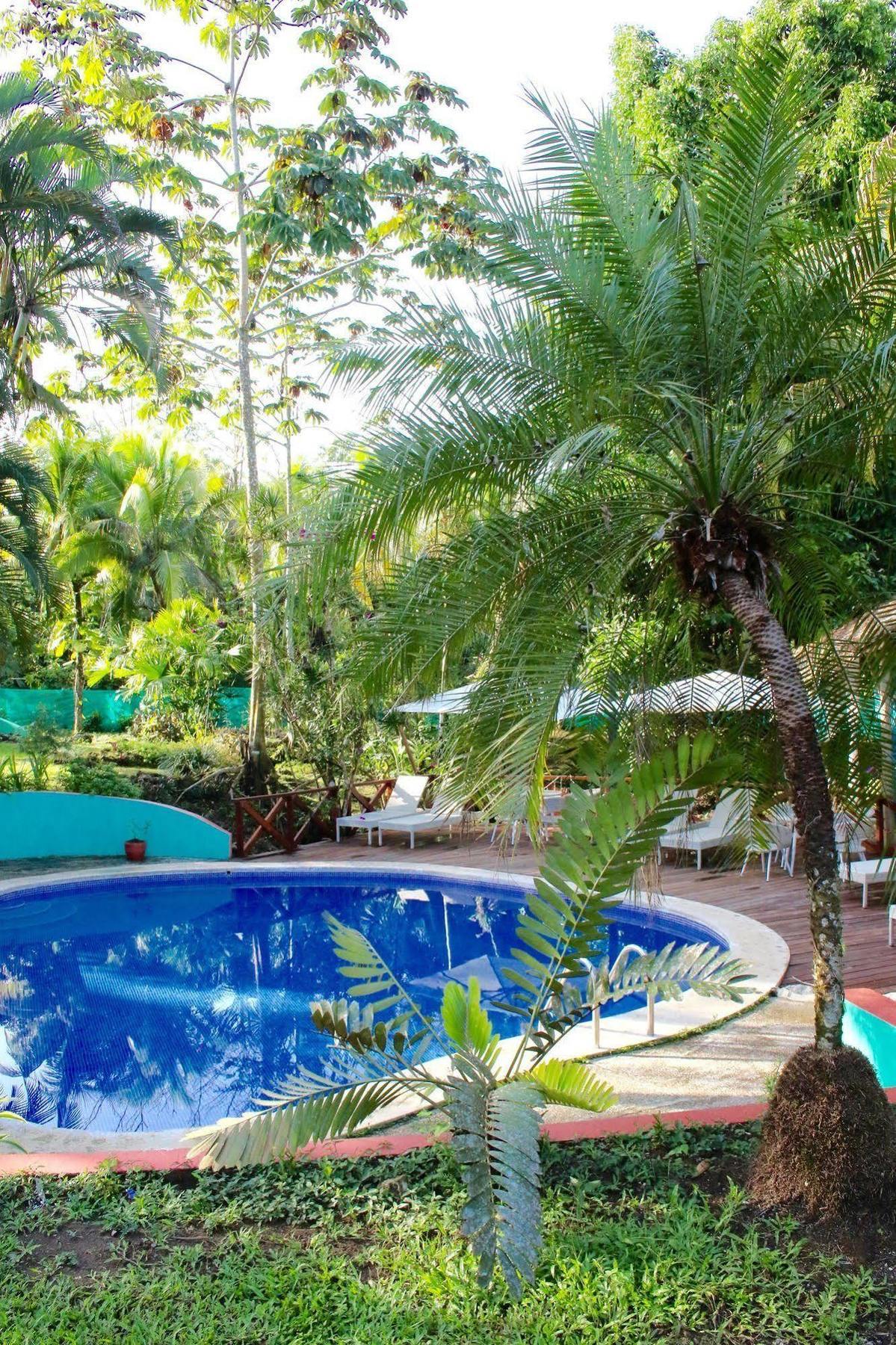 Magellan Boutique Hotel Cahuita Ngoại thất bức ảnh